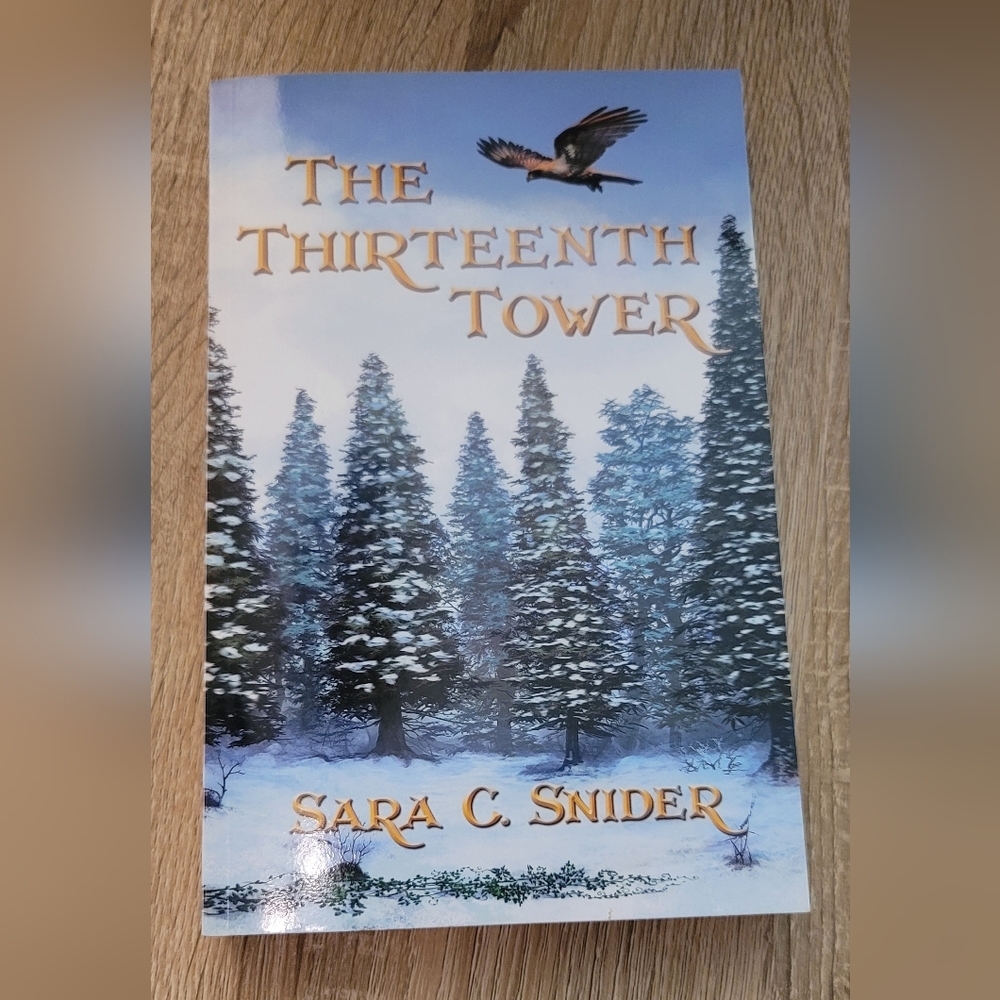 The Thirteenth Tower Sara Snider paperback book